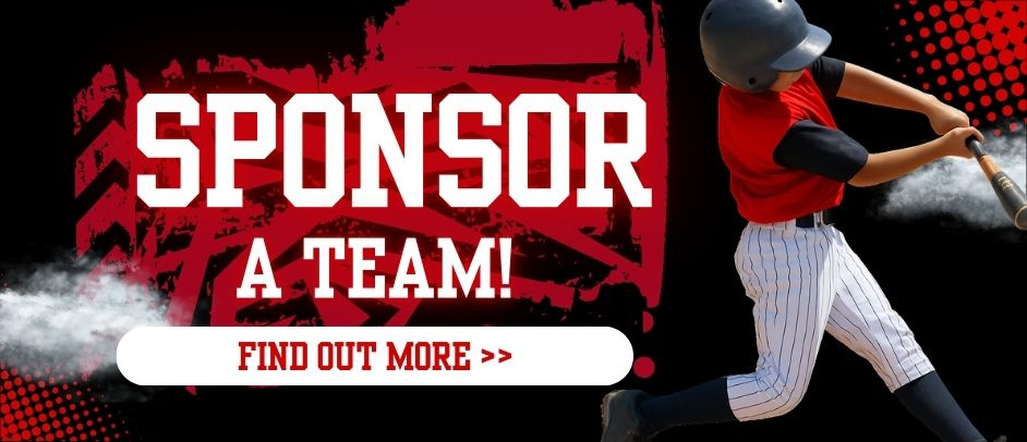 Sponsor a Team